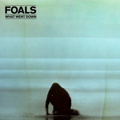 Foals - What Went Down (Vinyl) - Happy Valley Foals Vinyl