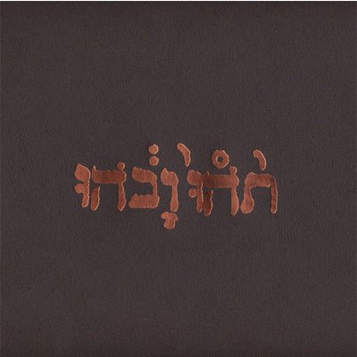 Godspeed You! Black Emperor - Slow Riot for New Zero Kanada EP (Vinyl) - Happy Valley Godspeed You! Black Emperor Vinyl