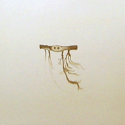 欧LP Jose Gonzalez In Our Nature PFG114 PEACEFROG 未開封 /00260 Gonzalez, Jose - In Our Nature (Vinyl) - Happy Valley