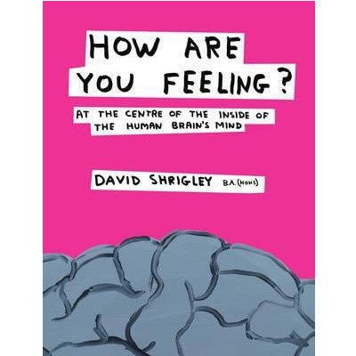 How Are You Feeling? - Happy Valley David Shrigley Book