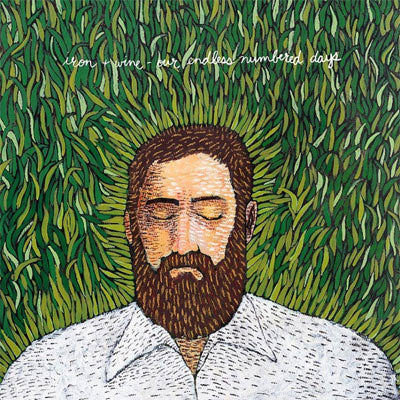 Iron & Wine - Our Endless Numbered Days (Vinyl)