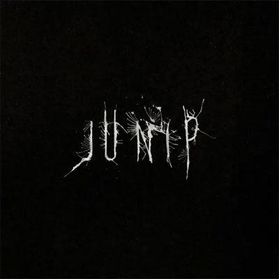 Junip - Junip (Black Vinyl) - Happy Valley Junip Vinyl