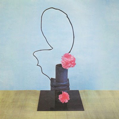 Methyl Ethel - Oh Inhuman Spectacle (Vinyl) - Happy Valley Methyl Ethel Vinyl