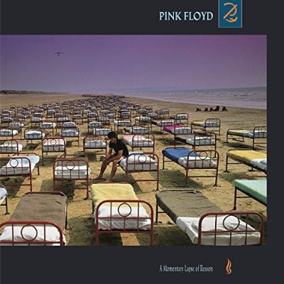 Pink Floyd - A Momentary Lapse Of Reason (Vinyl) - Happy Valley Pink Floyd Vinyl