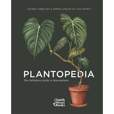 Plantopedia : The Definitive Guide to House Plants (Hardback) - Happy Valley Lauren Camilleri, Sophia Kaplan Book