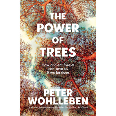 Power of Trees : How Ancient Forests Can Save Us If We Let Them -  Peter Wohlleben