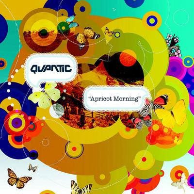 Quantic - Apricot Morning (Vinyl Reissue) - Happy Valley Quantic Vinyl