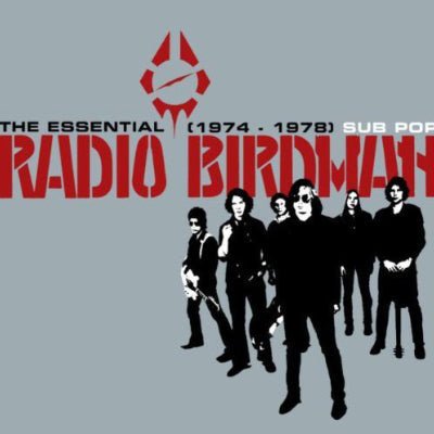 Radio Birdman - Essential Radio Birdman 1974-1978 (2LP Vinyl Reissue) - Happy Valley Radio Birdman Vinyl