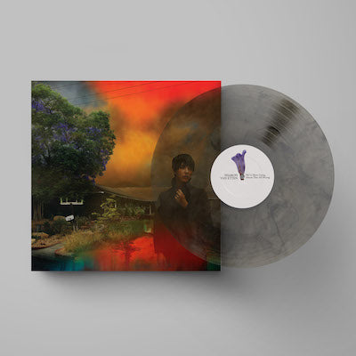 Van Etten, Sharon - We've Been Going About This All Wrong (Limited Edition Marble Smoke Vinyl)