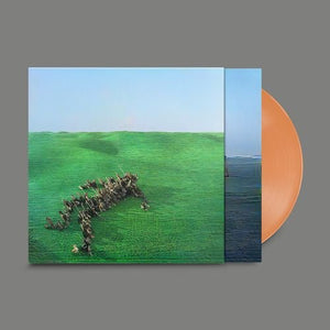 Squid - Bright Green Field (Limited Edition Apricot Coloured 2LP Vinyl) - Happy Valley Squid Vinyl