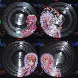 Tool - Lateralus (Limited 2LP Picture Disc Reissue) - Happy Valley Tool Vinyl