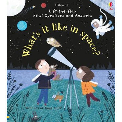 What's it like in Space? (Lift-the-Flap First Questions & Answers) - Happy Valley Katie Daynes, Christine Pym Book