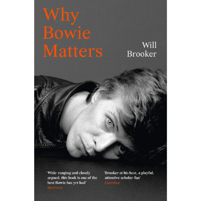 Why Bowie Matters -  Will Brooker