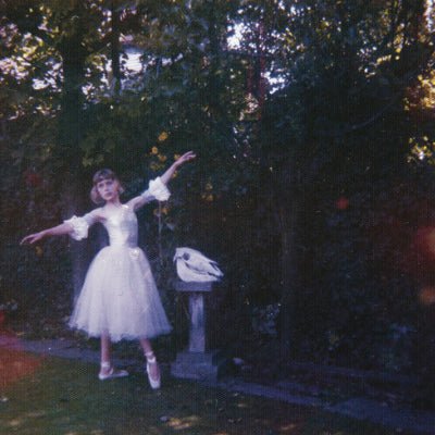 Wolf Alice - Visions Of A Life (2LP Vinyl) - Happy Valley Wolf Alice Vinyl