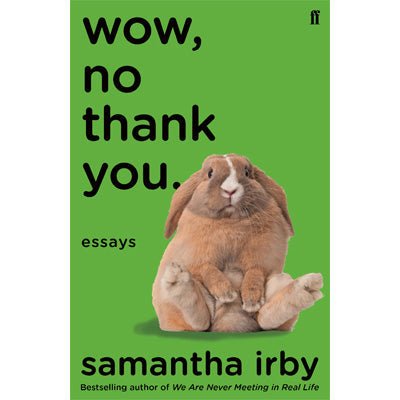 Wow, No Thank You. Essays - Happy Valley Samantha Irby Book
